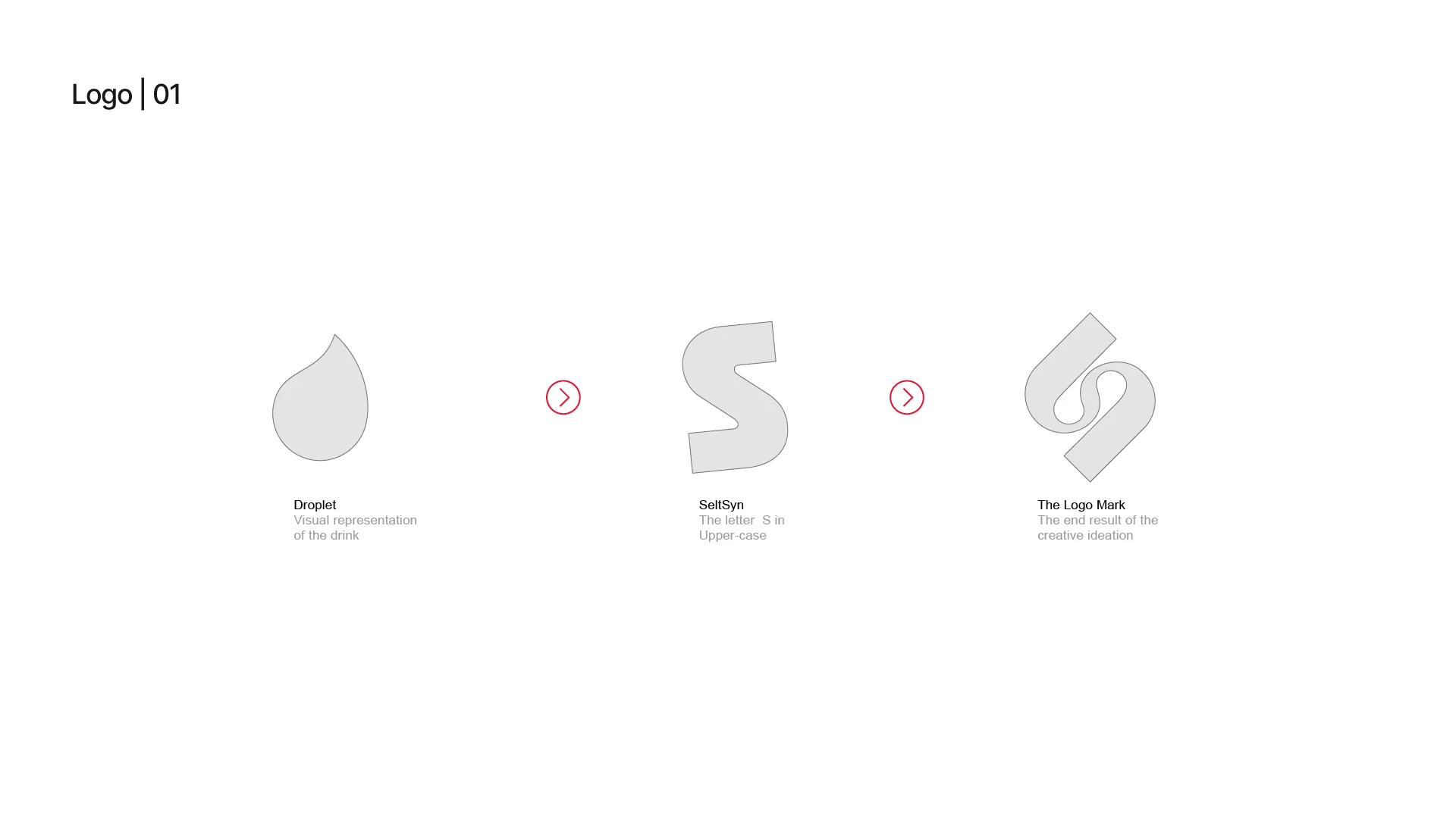 Seltsyn logo variaties met iconen en woordmerk