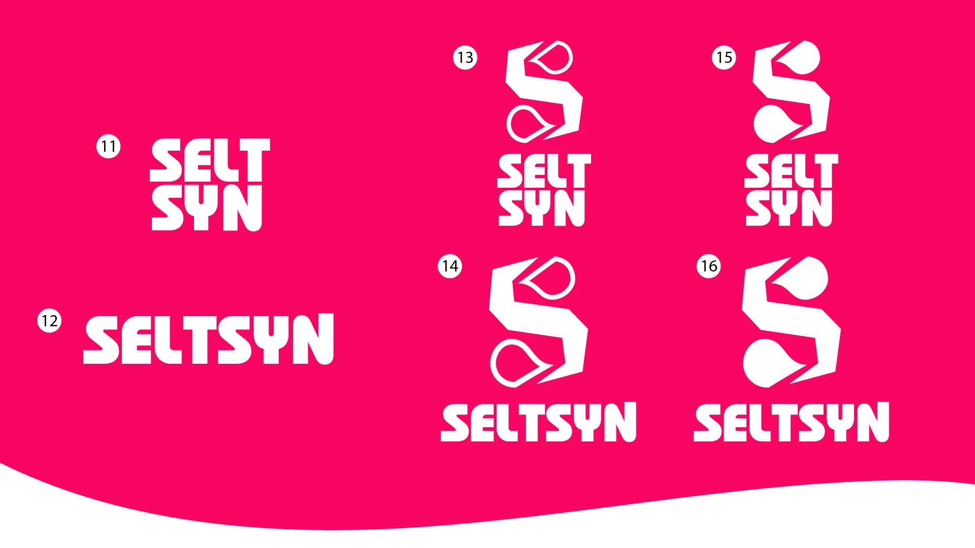 Seltsyn logo lock-up richtingen op roze achtergrond